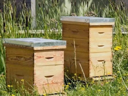 cherche terrain pour ruche à acheter