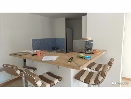 grand t2 de 58 m² avec terrasse plein sud