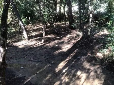 terrain loisir tres calme