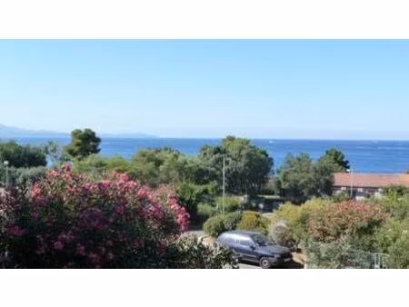 immo de corse ajaccio