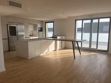 attique 99m²-4 pieces-terrasse- illkirch