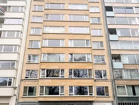 appartement te huur in antwerpen met 1 slaapkamer