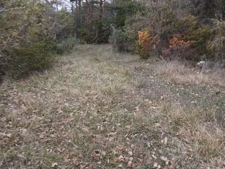 achat terrain 28 000m²