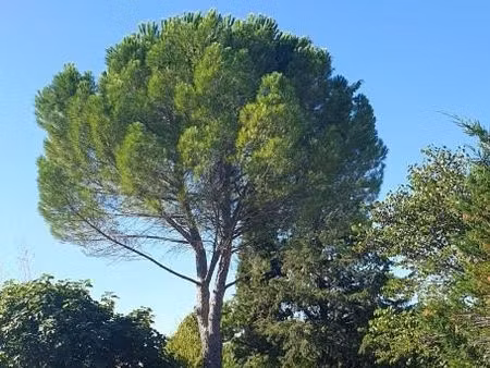 terrain 1 515 m² grabels