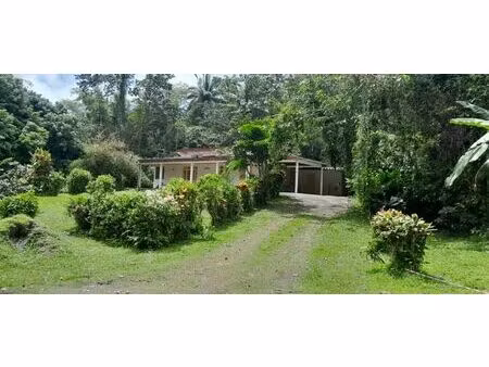 vente propriété 7 pièces à l'ajoupa-bouillon