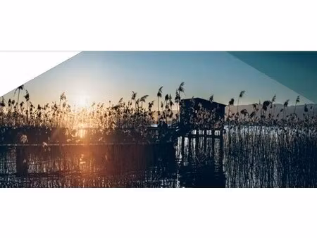 achat : maison (74140)