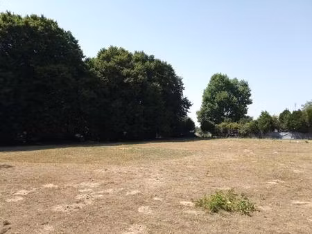 vente terrain 1355 m² gémozac (17260)