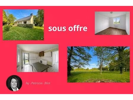 maison de plain-pied avec plus d'1 6 hectare de nature - campagne de malansac