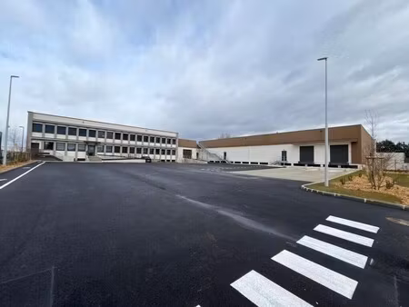 location entrepôt caluire et cuire 69300 8497m²