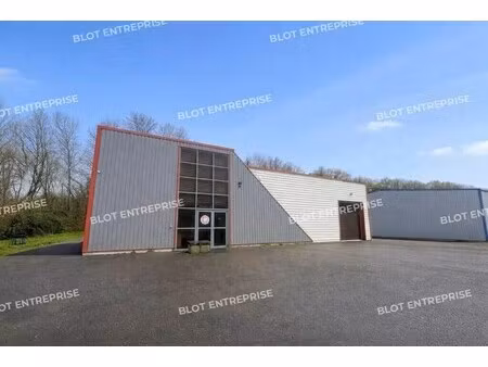 vente entrepôt 250 m²