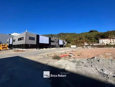 vente local d'activités 169 m² à 2 736 m²