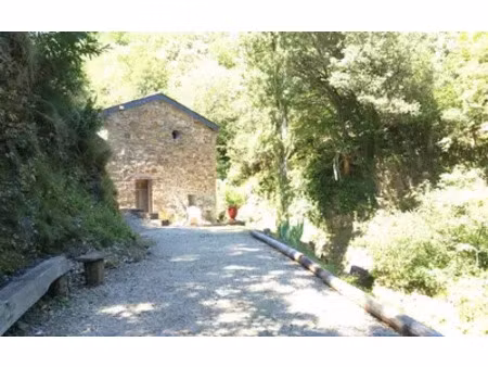 moissac-vallée-française (48110)