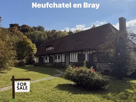 vente maison 6 pièces 195 m² à neufchâtel-en-bray (76270)  380 000 €