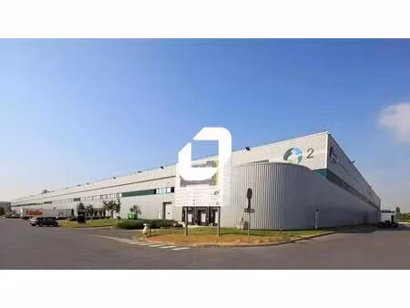 location entrepôt 6 044 m² à 36 264 m²