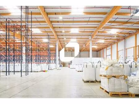location entrepôt 5 934 m² à 11 983 m²