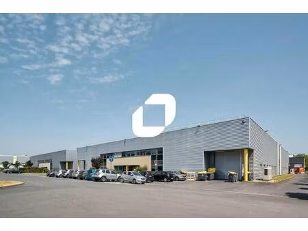 location entrepôt 5 000 m²