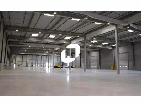 location entrepôt 6 815 m²