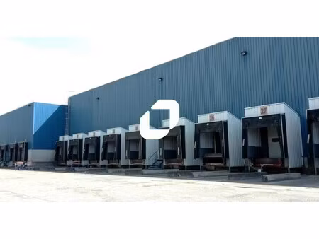 location entrepôt pont de veyle 01290 7850m²