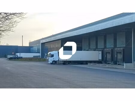 location entrepôt 9 806 m² à 19 612 m²