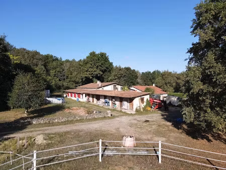 vente propriété 9 pièces 251 m² à saint-front-de-pradoux (24400)  395 000 €