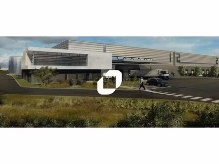 location entrepôt 11 300 m²