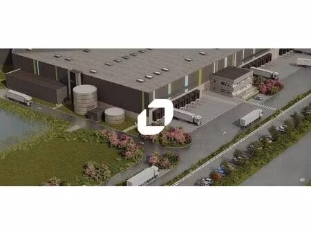 location entrepôt 40 000 m²