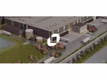 location entrepôt port saint louis du rhone 13230 40000m²
