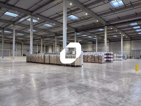 location entrepôt 6 000 m² à 48 100 m²