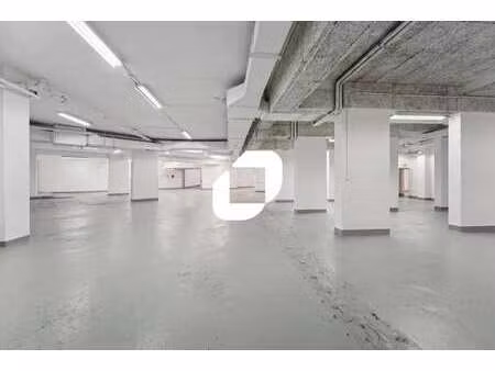 location local d'activités 1 300 m²