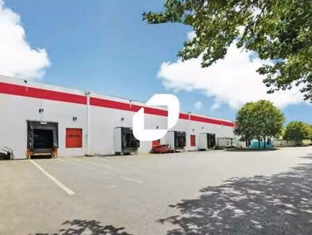 location entrepôt 5 636 m²