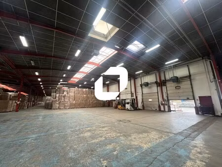 location local d'activités 5 641 m² à 11 481 m²