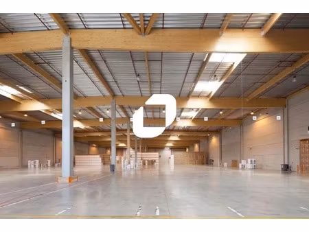 location entrepôt 12 000 m² à 64 000 m²