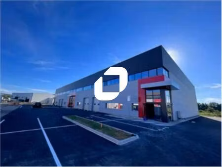 location local d'activités 565 m² à 2 809 m²