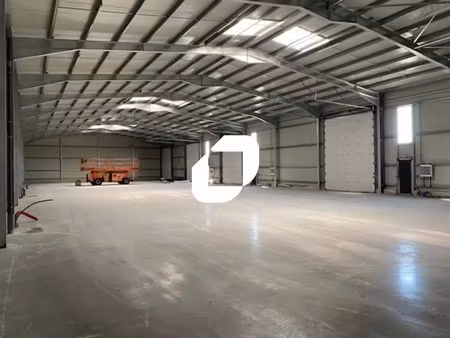 location local d'activités 250 m² à 1 000 m²