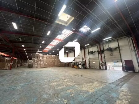 location local d'activités 5 641 m² à 11 481 m²