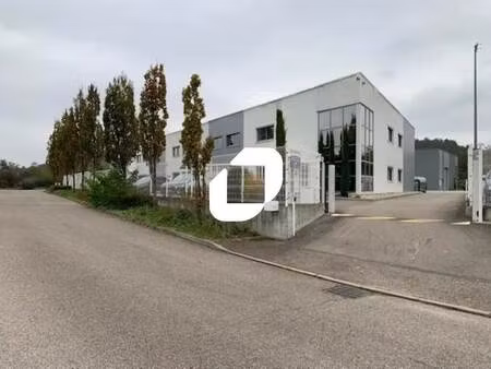 location local d'activités 300 m² à 911 m²