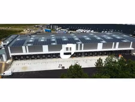 location entrepôt 4 905 m²