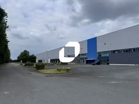 location entrepôt dechy 59187 8000m² à 17536m²