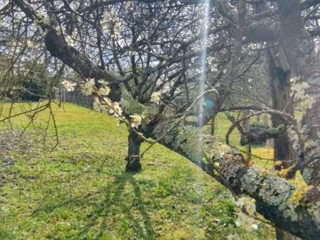 achat terrain 640m² deols 36130