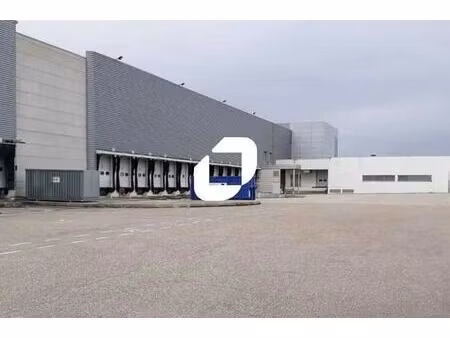 location entrepôt 11 300 m² à 22 500 m²