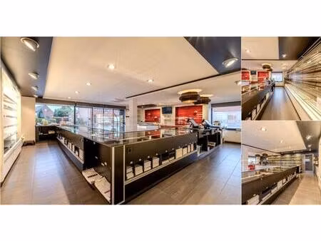 surface commerciale à vendre à gravin de merodestraat 50 westerlo (rbv48433)