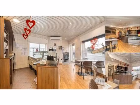 surface commerciale à vendre à oudegemse baan 134 oudegem (rbv48492)