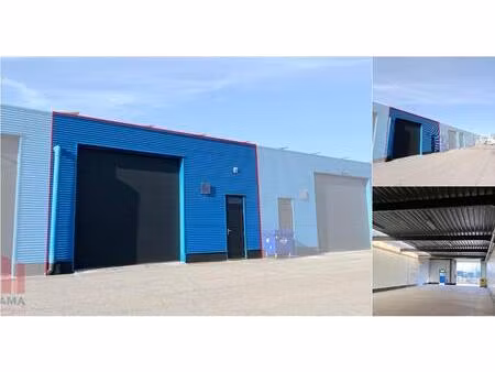 surface industrielle à louer à saffierstraat 5 herentals (rbv48576)