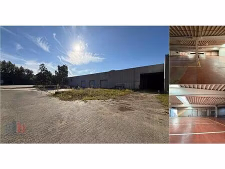 surface industrielle à louer à hoge heerweg 32 sint-niklaas (rbv48564)