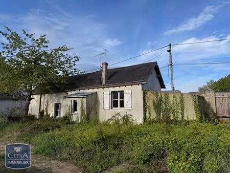 achat maison 2 pièces 50m² chinon 37500