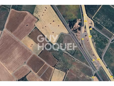 annonce terrain à vendre