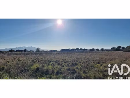 vente terrain à peyrestortes (66600) : à vendre / 6360m² peyrestortes