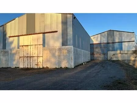 vente commerce 1 pièce 1100 m² pontfaverger-moronvilliers (51490)