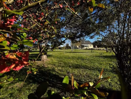 vente maison 6 pièces 118 m² loire-authion (49630)