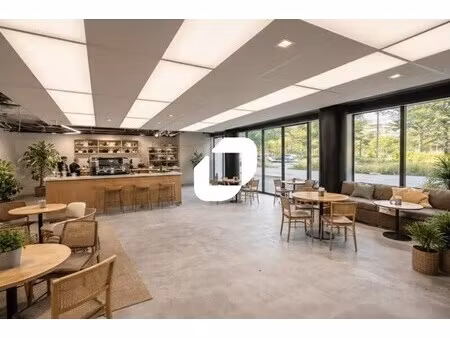 location commerce lyon 69003 274m²
